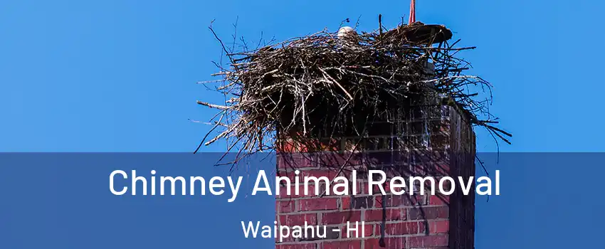 Chimney Animal Removal Waipahu - HI