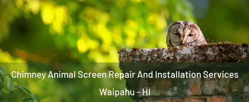  Chimney Animal Screen Repair And Installation Services Waipahu - HI