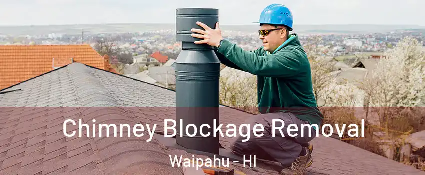  Chimney Blockage Removal Waipahu - HI