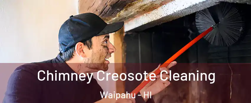  Chimney Creosote Cleaning Waipahu - HI