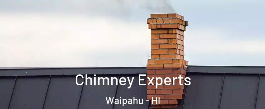 Chimney Experts Waipahu - HI
