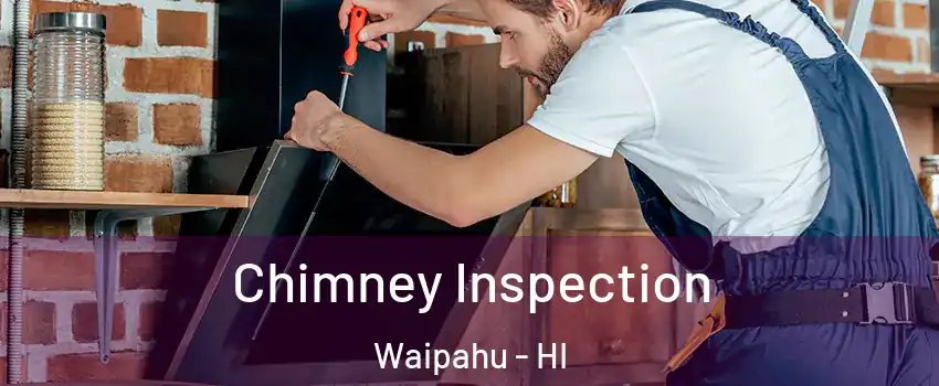  Chimney Inspection Waipahu - HI