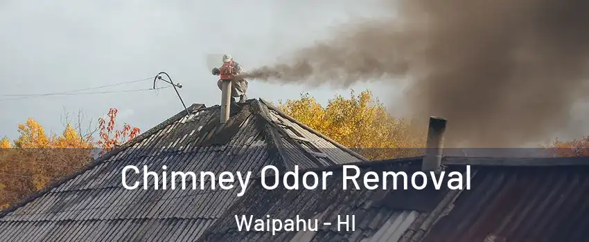  Chimney Odor Removal Waipahu - HI