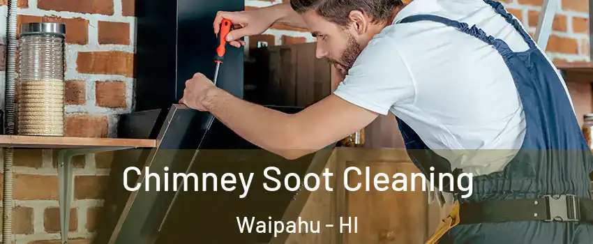  Chimney Soot Cleaning Waipahu - HI