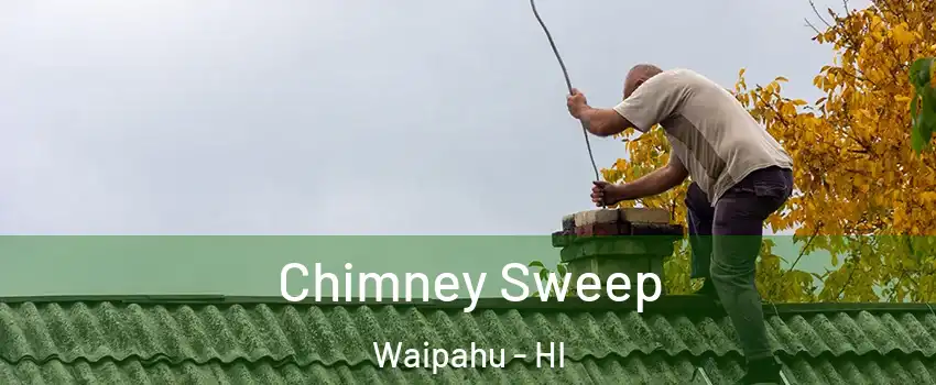  Chimney Sweep Waipahu - HI