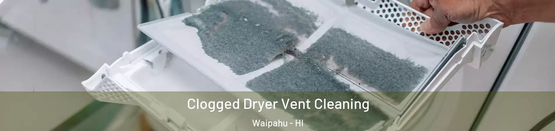  Clogged Dryer Vent Cleaning Waipahu - HI