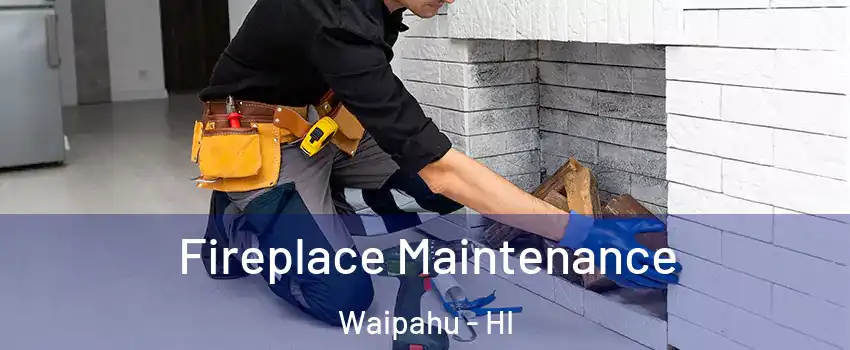  Fireplace Maintenance Waipahu - HI