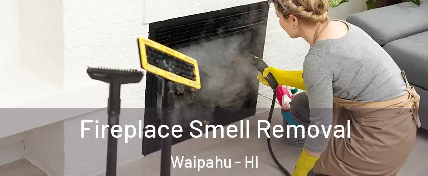  Fireplace Smell Removal Waipahu - HI