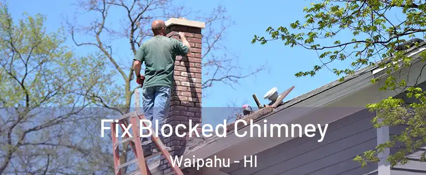  Fix Blocked Chimney Waipahu - HI