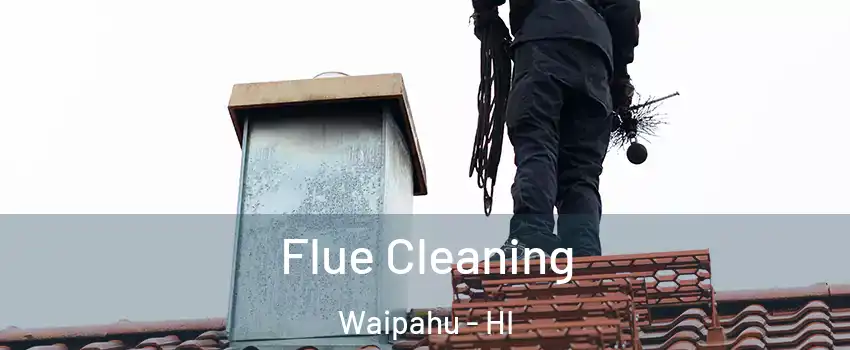  Flue Cleaning Waipahu - HI