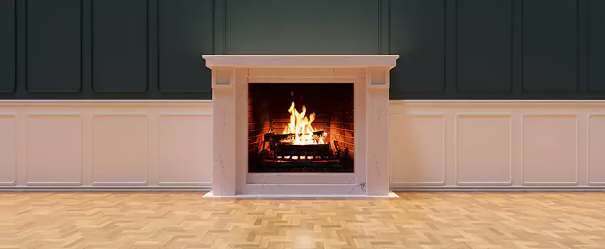 Napoleon Electric Fireplaces Inspection Service in Waipahu, Hawaii