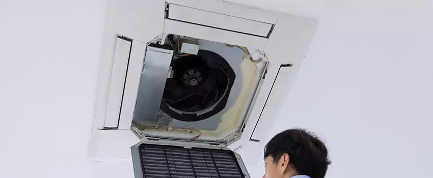 Benefits of Professional Air Duct Cleaning in Waipahu, Hawaii