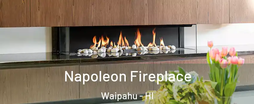  Napoleon Fireplace Waipahu - HI